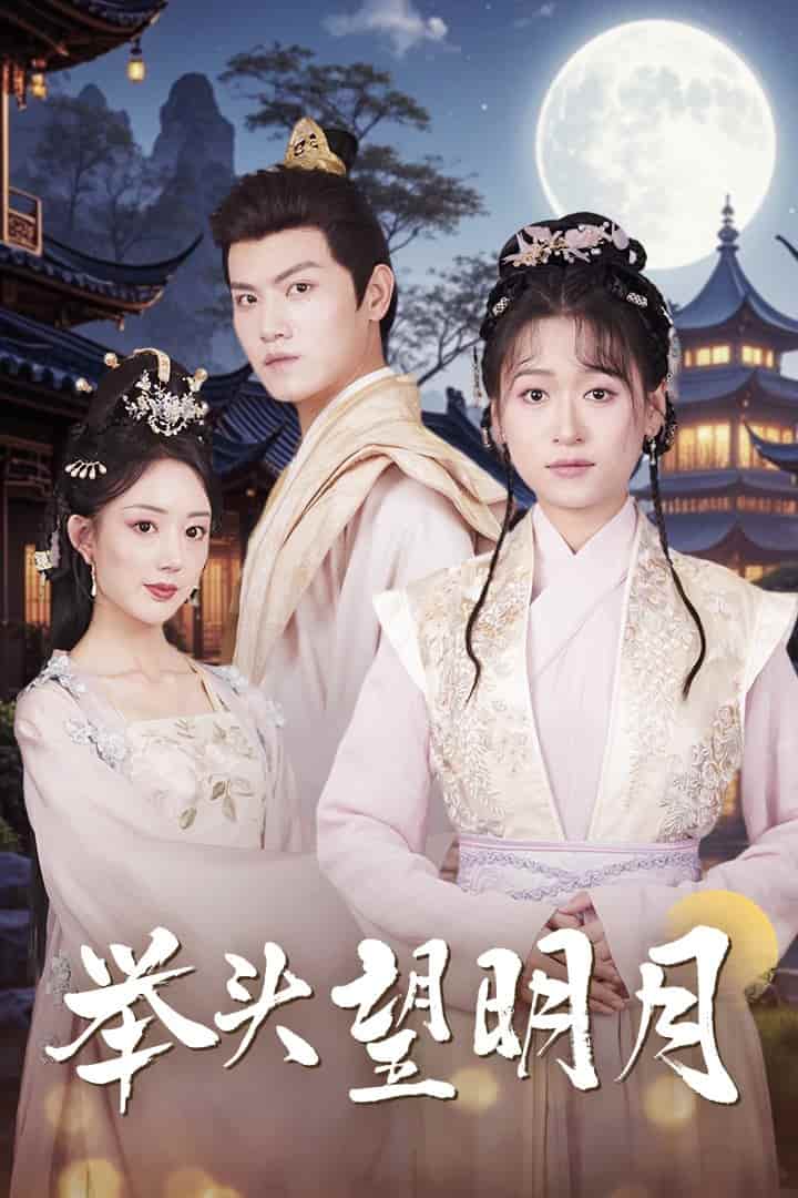 举头望明月,高清在线播放