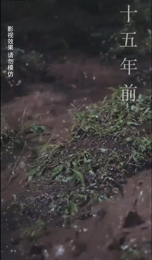 云深见朝阳封面图