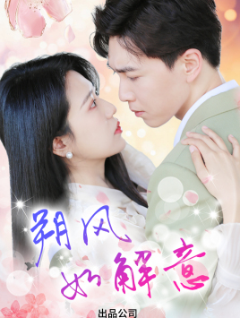 朔风有解意封面图