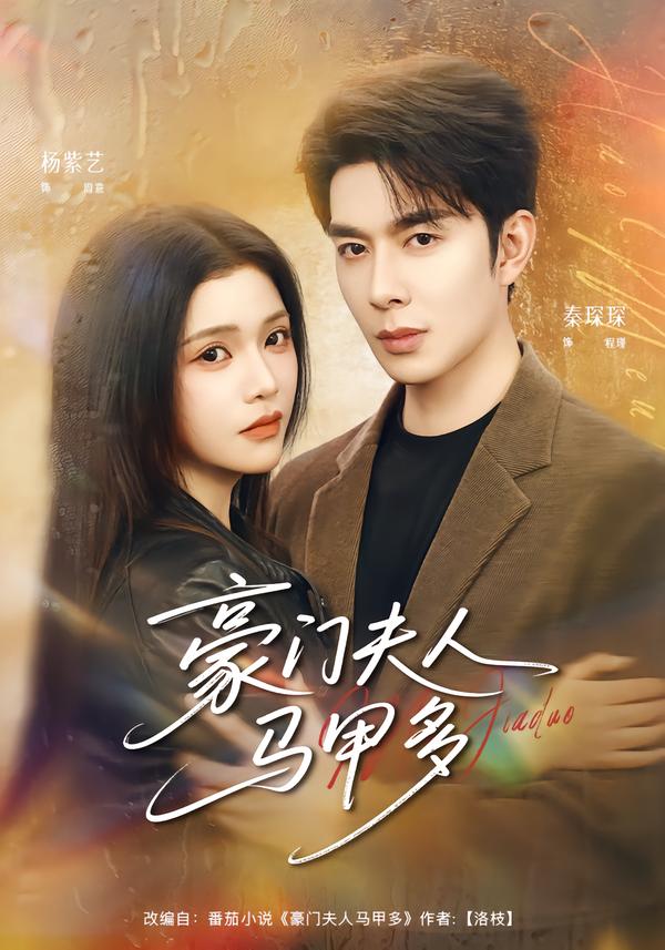 豪门夫人马甲多封面图