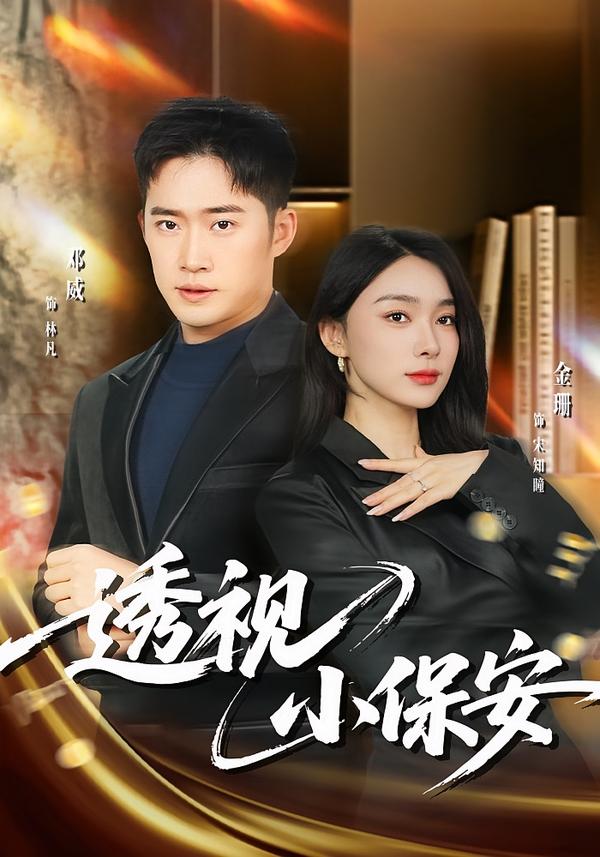 透视小保安封面图