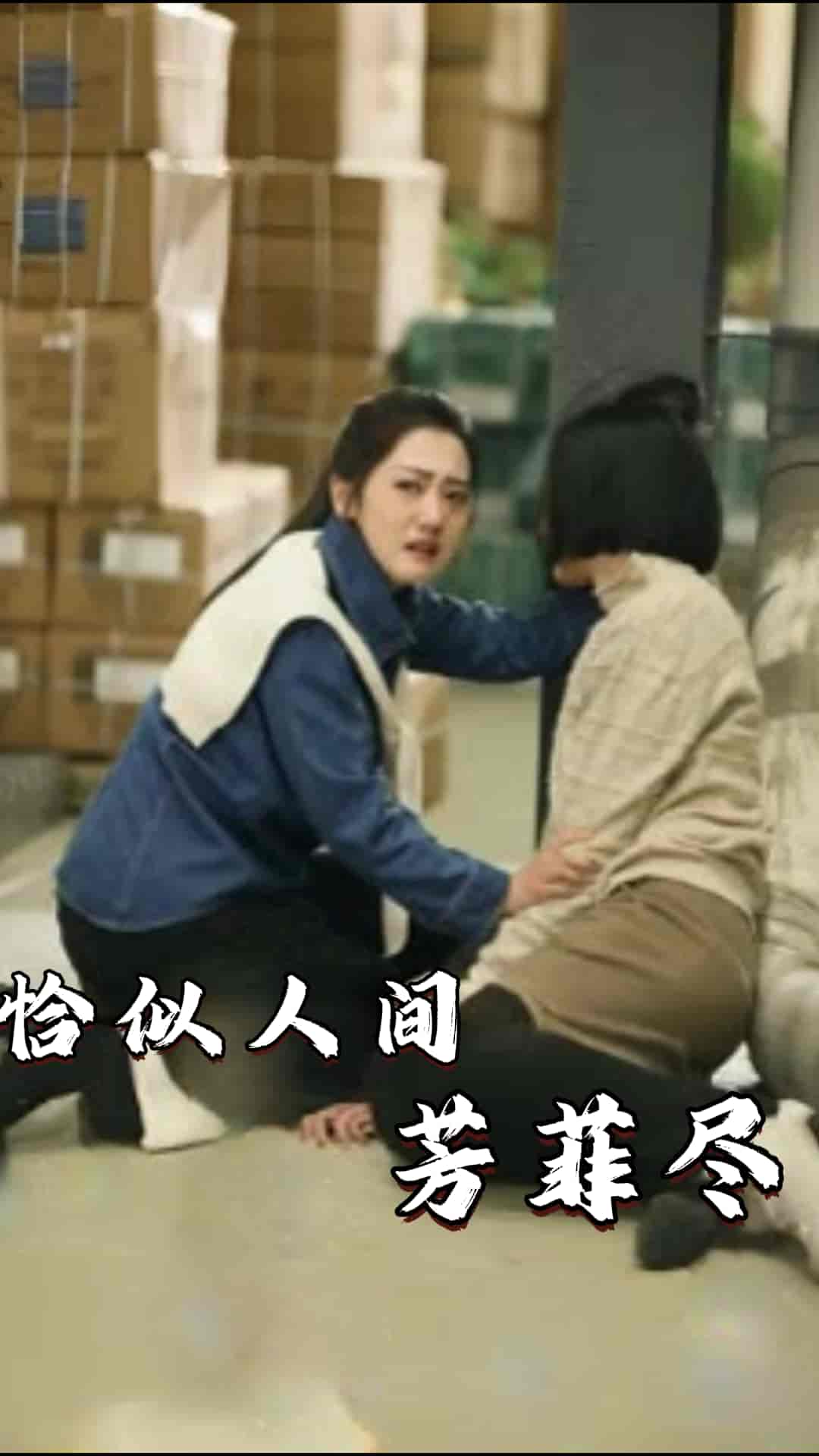 恰似人间芳菲尽封面图