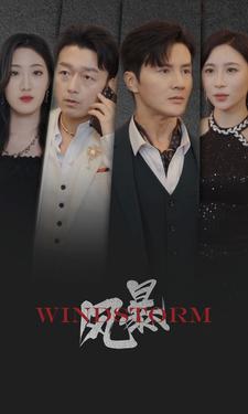 风暴 短剧版封面图