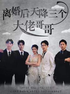 离婚后天降三个大佬哥哥封面图