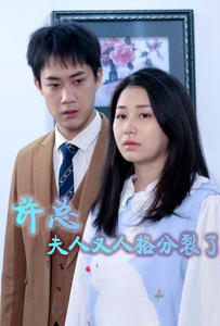 许总夫人又人格分裂了封面图