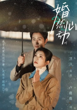 婚然心动时封面图