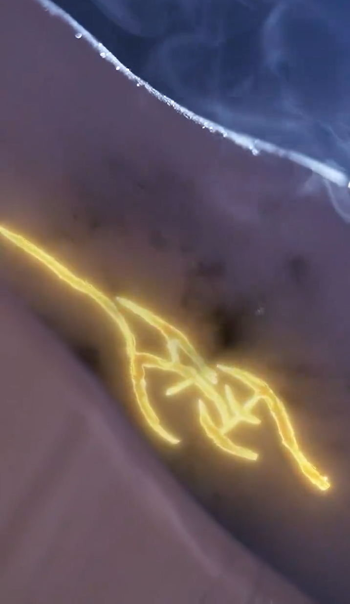 缘来仙妻就是你封面图