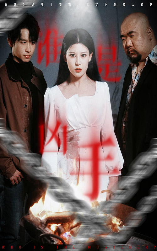 谁是凶手短封面图