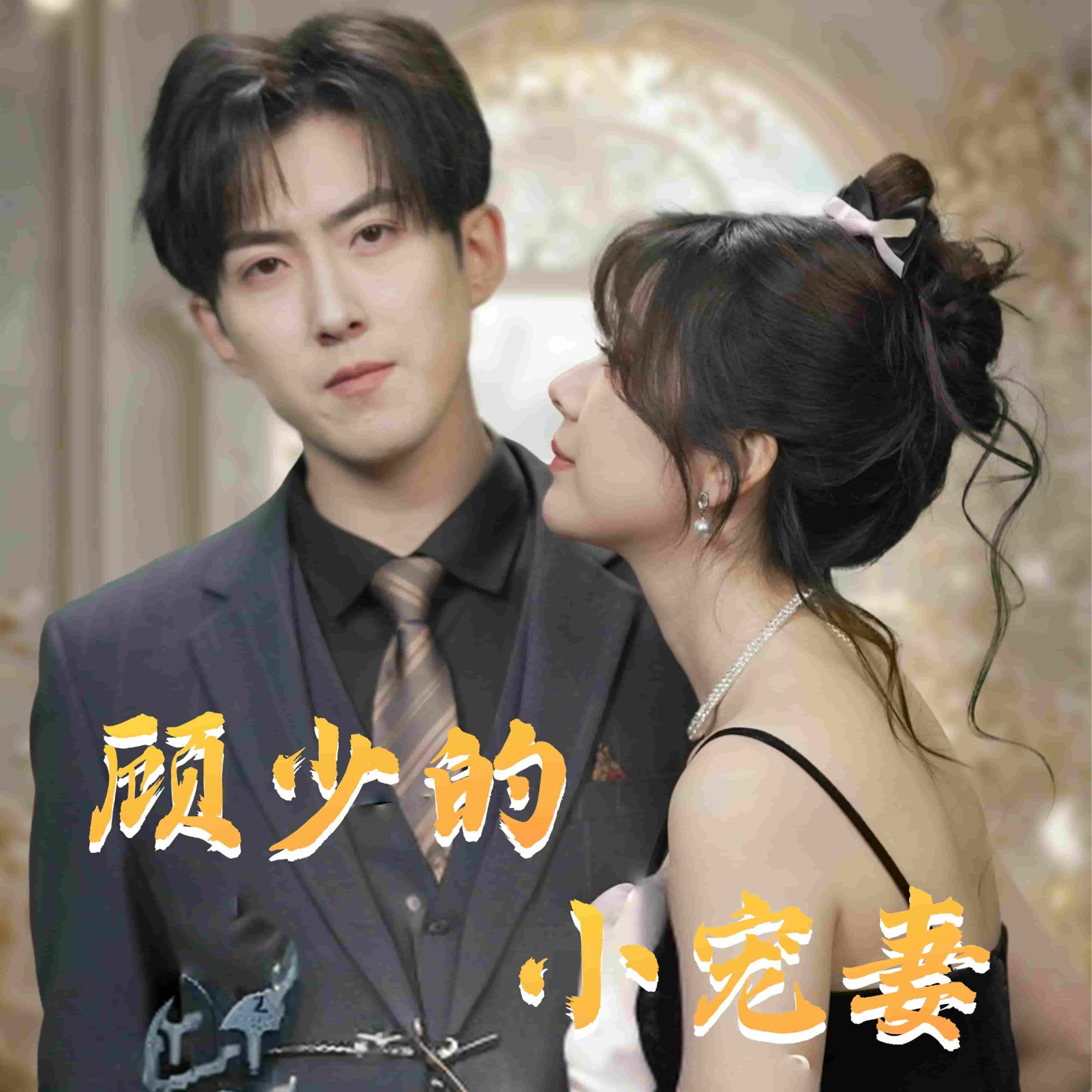 顾少的小宠妻封面图