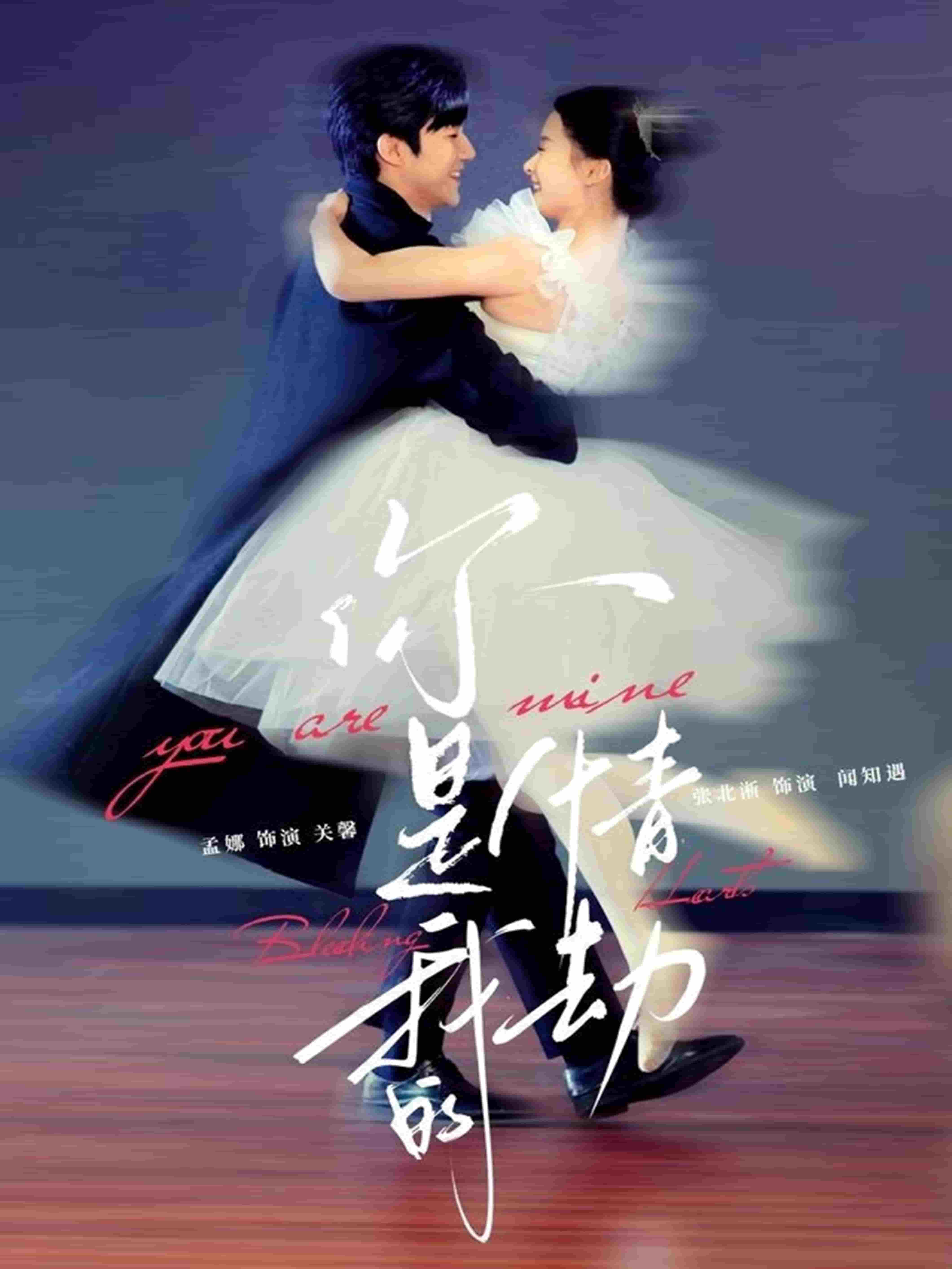 你是我的情劫封面图