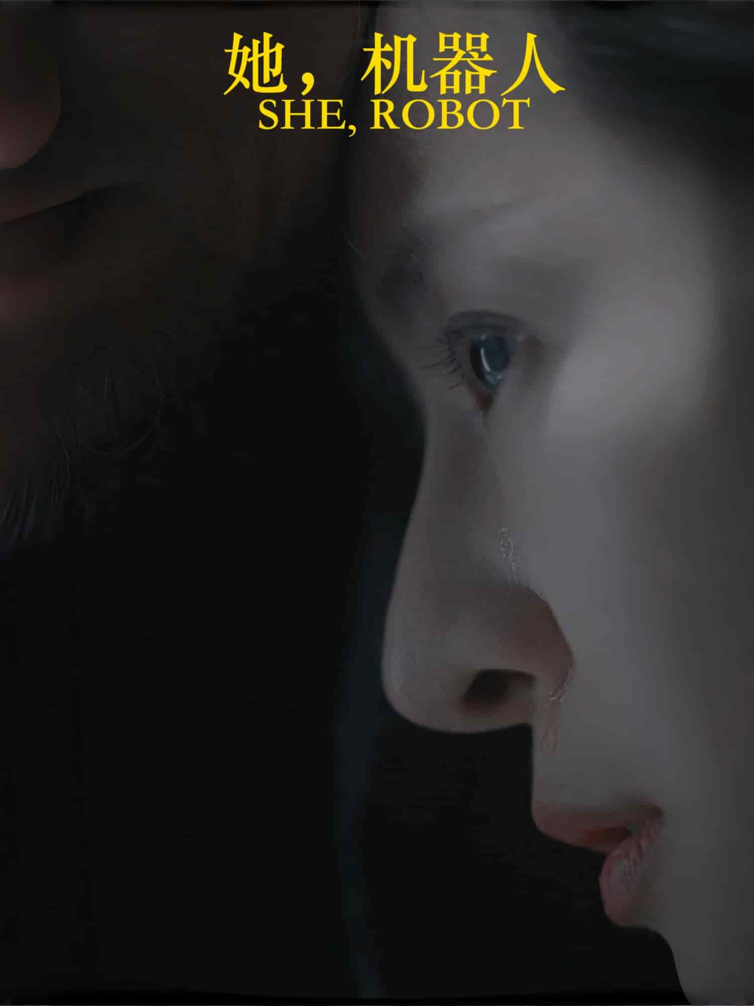 她机器人封面图
