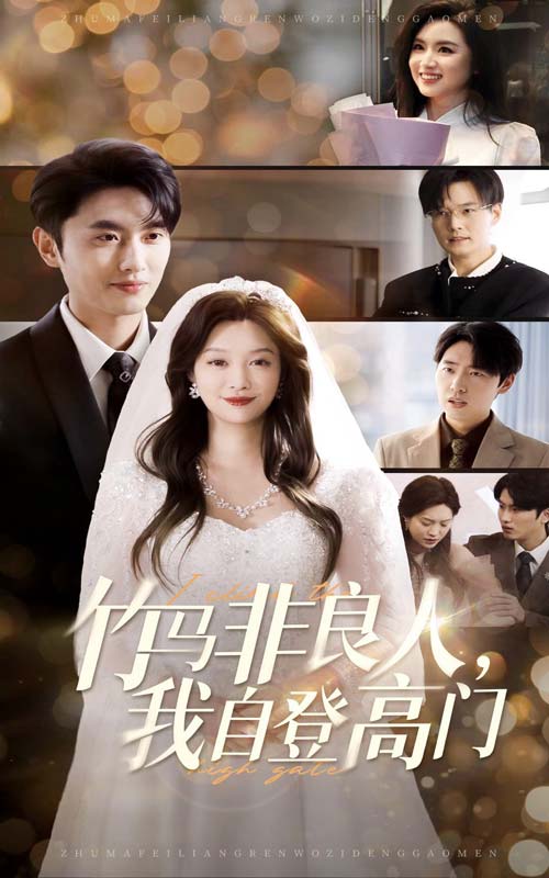 竹马非良人我自登高门封面图