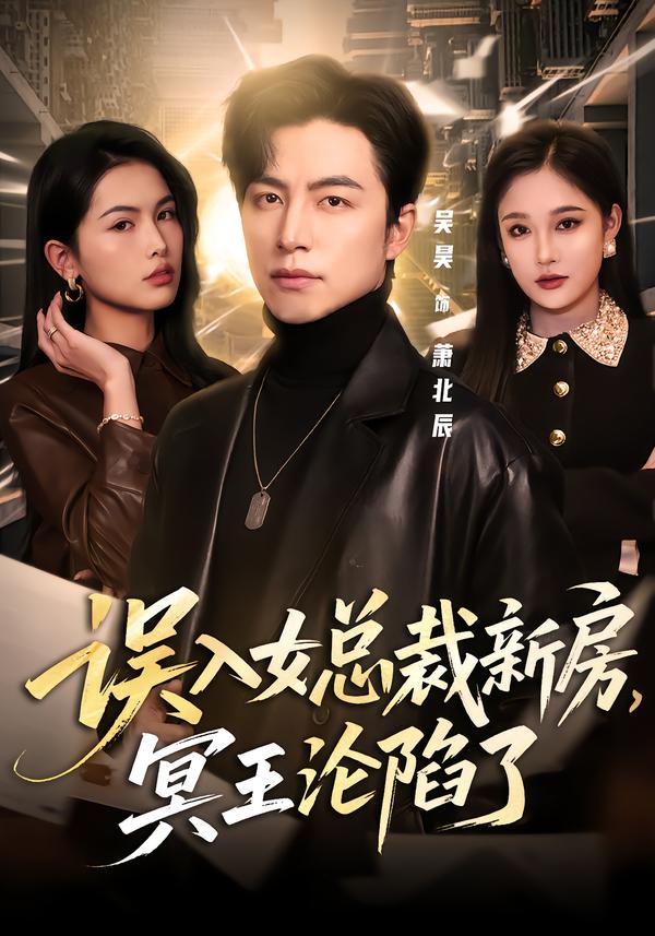 误入女总裁新房,冥王沦陷了