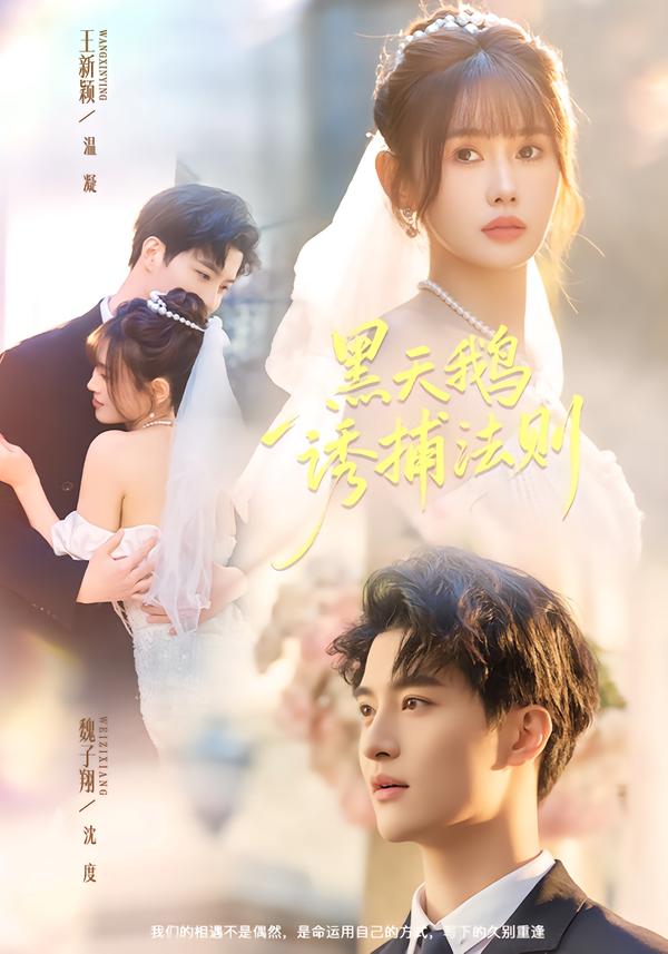 黑天鹅诱捕法册高清在线观看 - 流云视界_轻科幻影视免费看，轻科幻轻奇幻片 + 韩剧番剧，美剧大片，动漫科幻，4K 蓝光，轻科幻解析片单