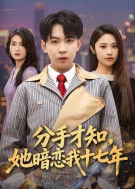 分手才知她暗恋我十七年封面图