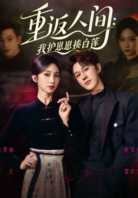 重返人间：我护崽崽揍白莲封面图