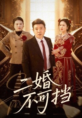 二婚不可挡封面图