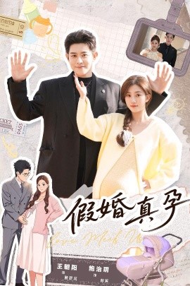 假婚真孕2026封面图