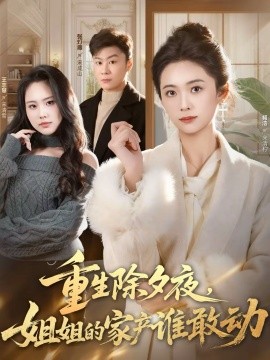 重生除夕夜姐姐的家产谁敢动