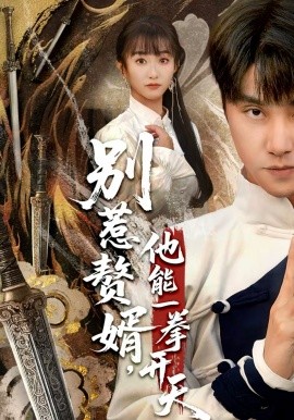 别惹赘婿他能一拳开天封面图