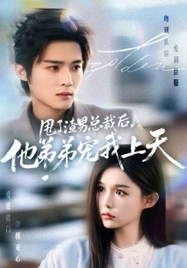 甩了渣男总裁后他弟弟宠我上天封面图