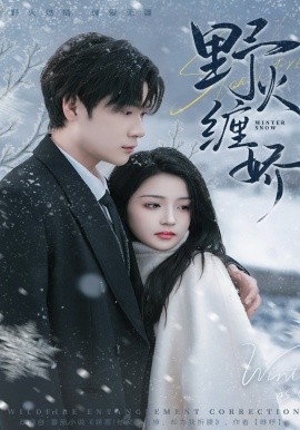 野火缠娇封面图