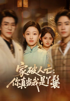 家破人亡：你真当我是丫鬟啊封面图
