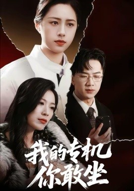 我的专机你敢坐封面图