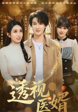透视医婿封面图