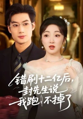 错刷十二亿后，封先生说我跑不掉了封面图