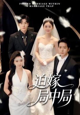 迫嫁局中局封面图