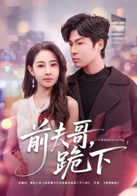 前夫哥，跪下封面图