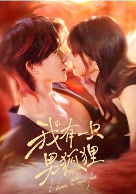 我有一只男狐狸封面图