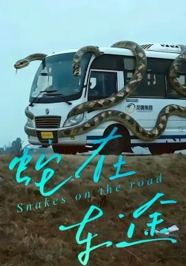 蛇在车途封面图