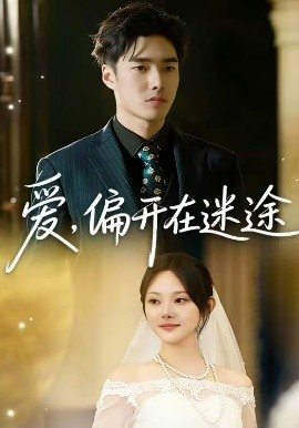 爱，偏开在迷途封面图