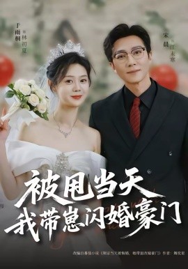 被甩当天我带崽闪婚豪门封面图