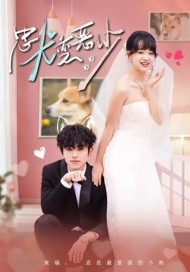 惊！我家来福变恶少了封面图