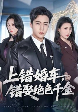上错婚车，错娶绝色千金封面图