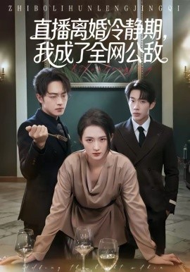 直播离婚冷静期，我成了全网公敌封面图