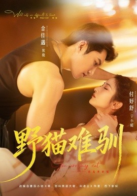 野猫难驯封面图