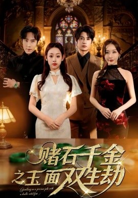 赌石千金之玉面双生劫封面图