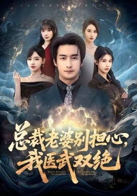 总裁老婆别担心，我医武双绝封面图