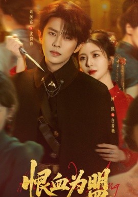 恨血为盟封面图