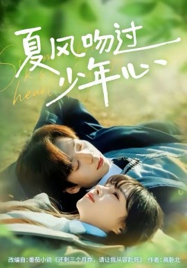 夏风吻过少年心封面图