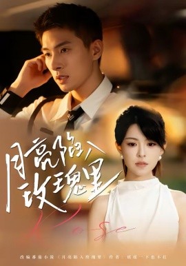 月亮陷入玫瑰里封面图