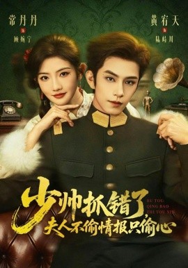 少帅抓错了，夫人不偷情报只偷心封面图