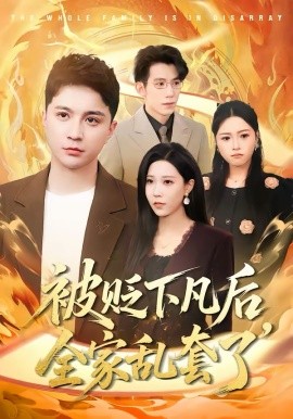 被贬下凡后全家乱套了封面图