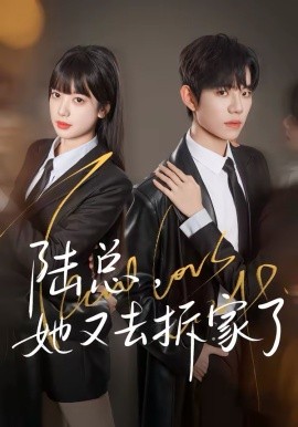 陆总，她又去拆家了封面图