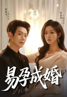 易孕成婚封面图