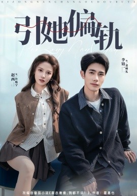 引她偏轨